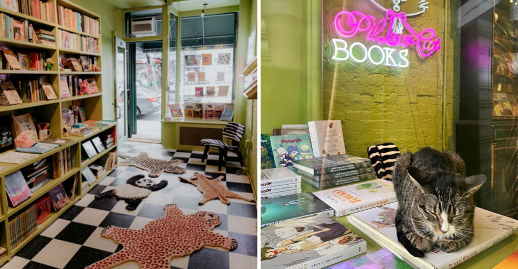 A Charming New York Bookstore Where Endless Shelves Meet Adorable Resident Cats