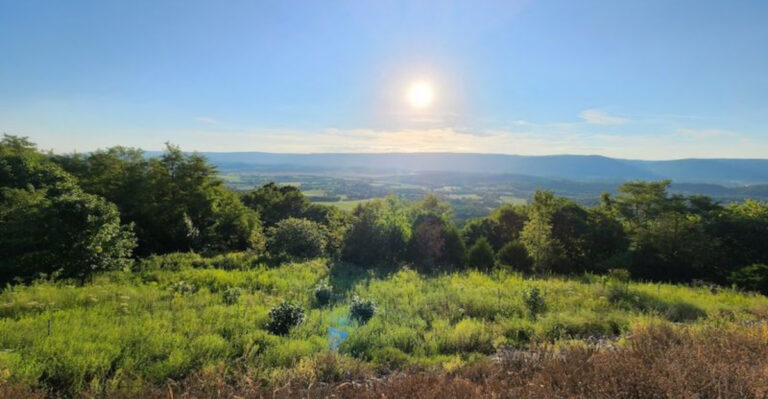 After One Weekend In This Tennessee Valley, You’ll Be Looking At Real Estate Listings