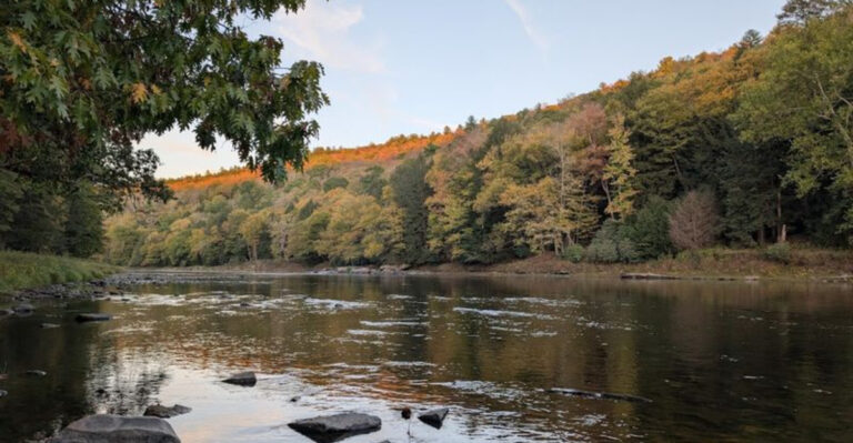 An 8,500-Acre Pennsylvania State Forest Has A Fire Tower With Views That Are Quietly Stunning