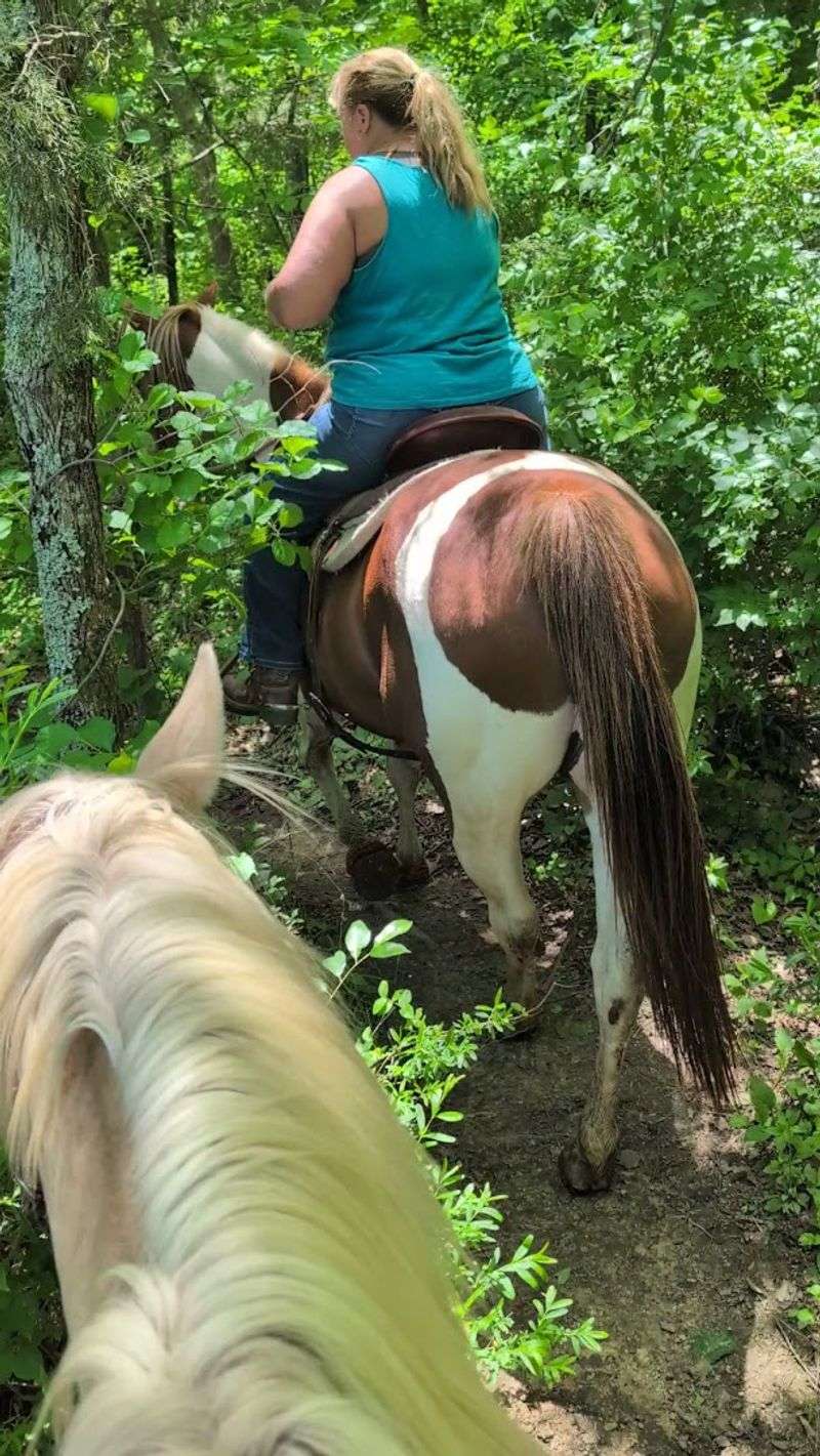 Flying Q Farms (Fayetteville) 