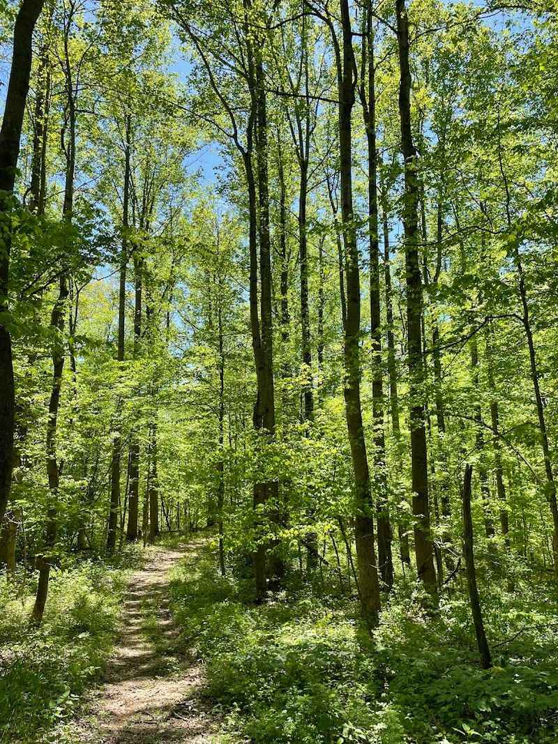 Indiana Trails That Keep Changing the Scenery Indiana Trails That Keep Changing the Scenery