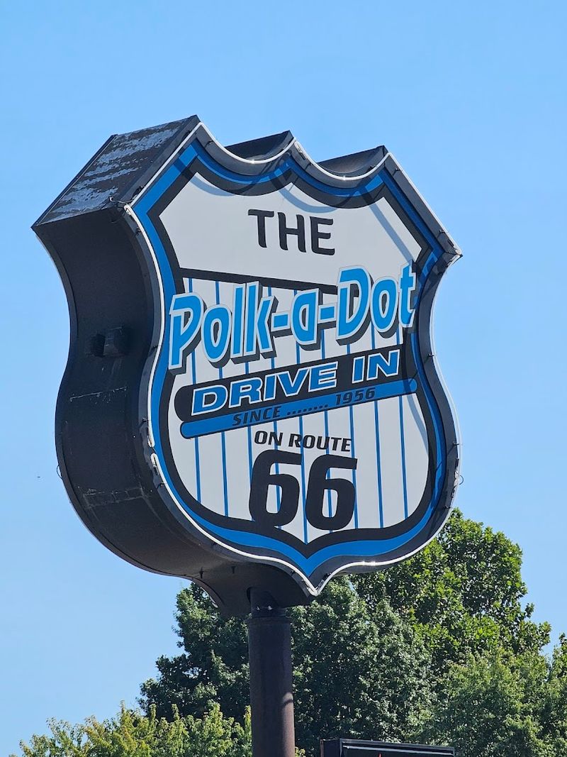 Polk-A-Dot Drive In (Braidwood)