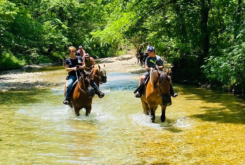 Keels Creek Trail Rides (Eureka Springs) 