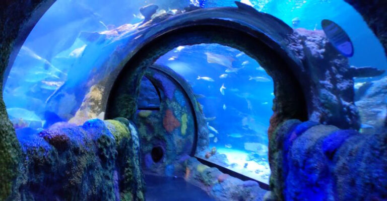 Education Gets Exciting Inside 12 Michigan Aquariums Full of Wonder
