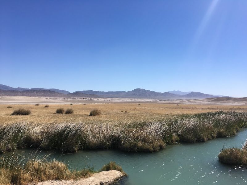 Tecopa Hot Springs (Tecopa)