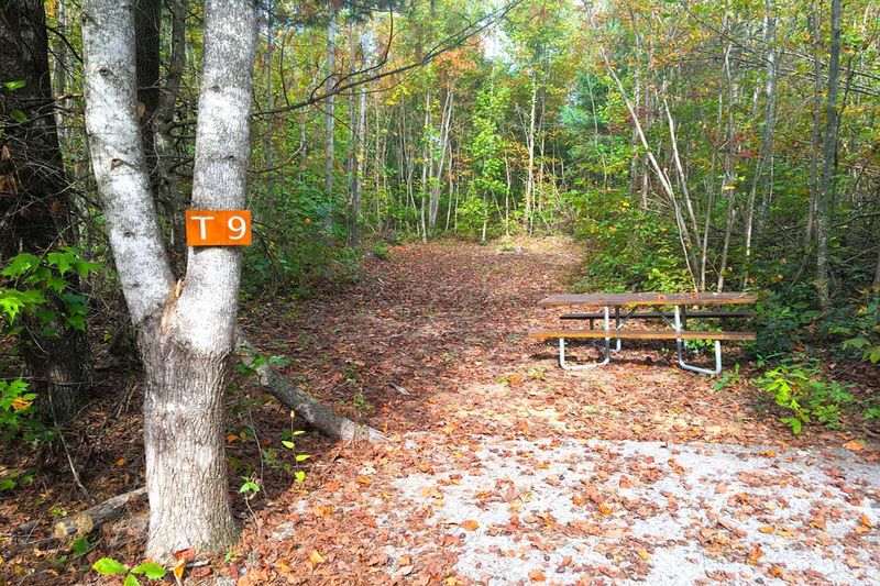 Tent Camping Sites with Privacy and Views