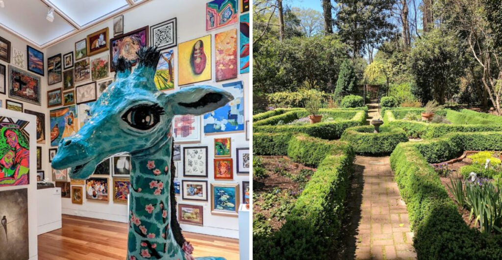 Explore History, Art, and Science for Less at These 11 Free North Carolina Museums