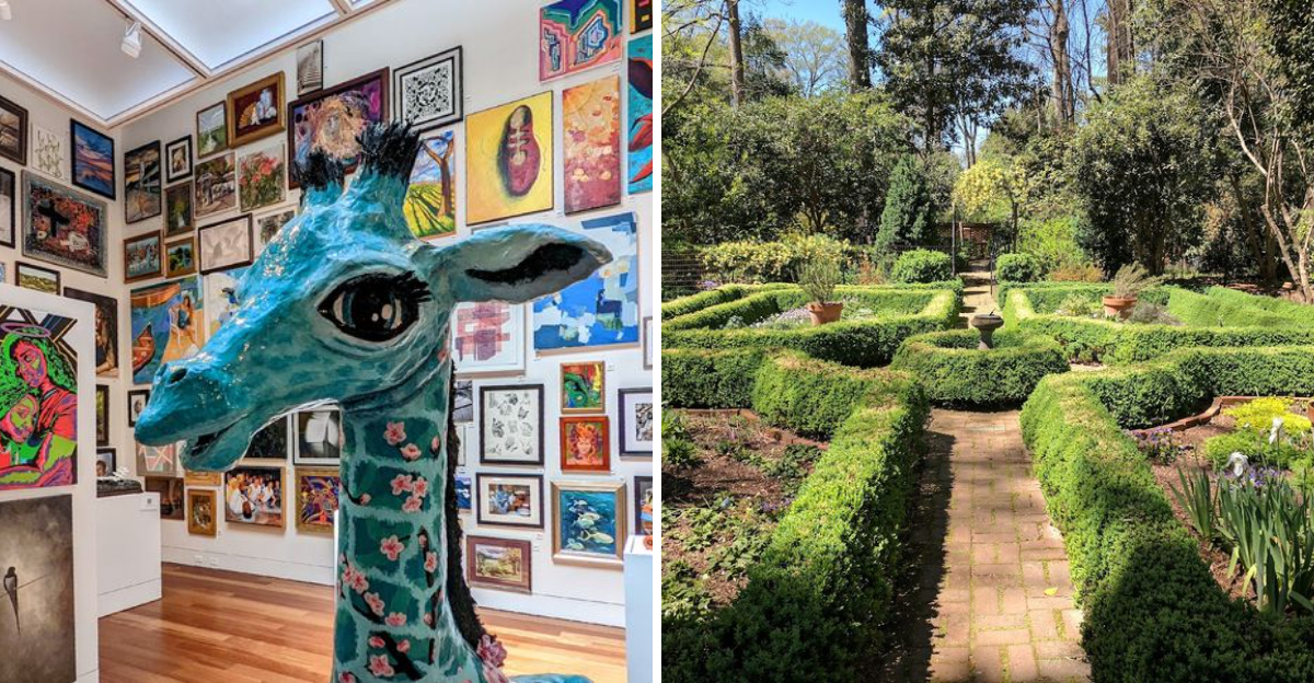 Explore History, Art, and Science for Less at These 11 Free North Carolina Museums