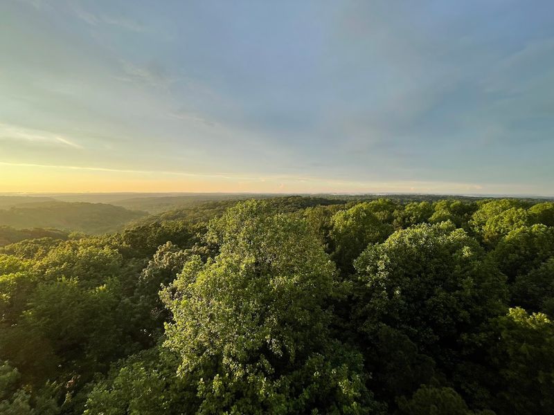 A Landscape That Looks Bigger Than Indiana Should