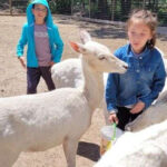 Feed Exotic Animals Up Close at This One-of-a-Kind New York Zoo