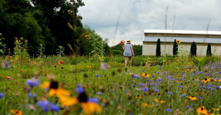 Fresh Berries, Flower Fields, And Country Charm Await At This Tennessee Farm