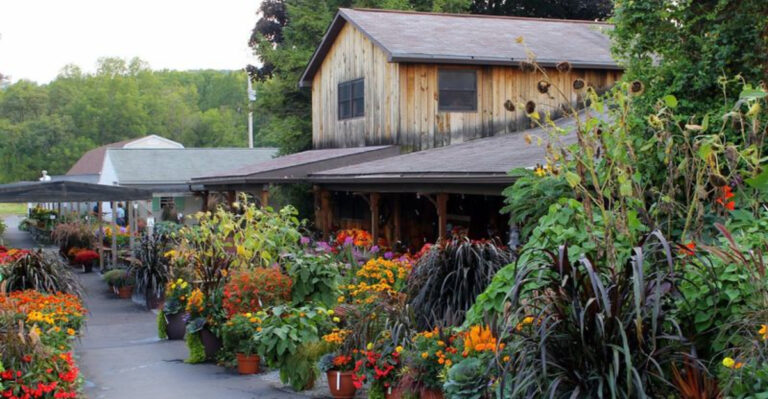 From Vibrant Flowers to Local Treasures, These 11 Pennsylvania Markets Have It All