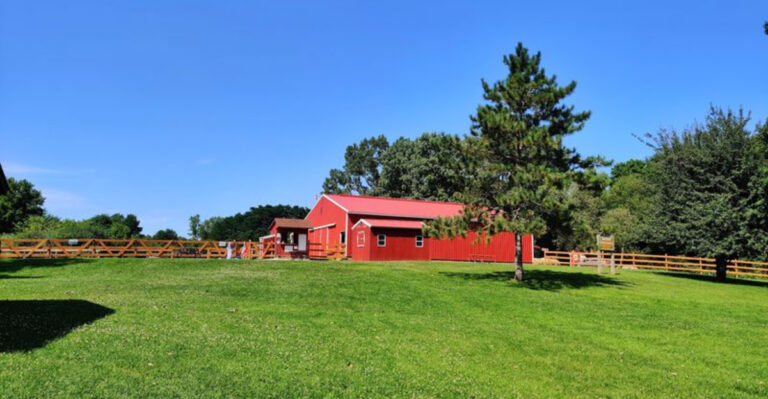 From Wooded Trails To Sandy Shores, 13 Michigan Horseback Rides Worth Booking