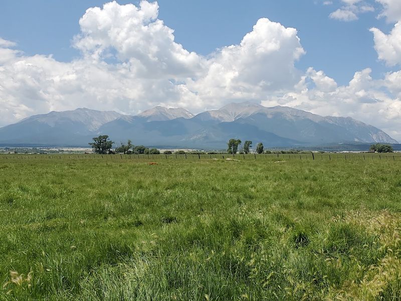 Arrowpoint Cattle Company (Elbert)