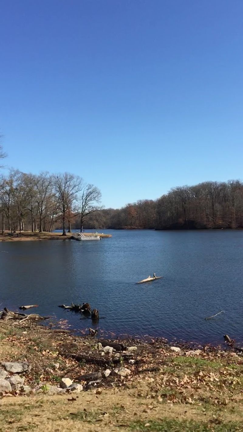 Meeman-Shelby Forest State Park Swimming Pool – Millington Meeman-Shelby Forest State Park Swimming Pool – Millington
