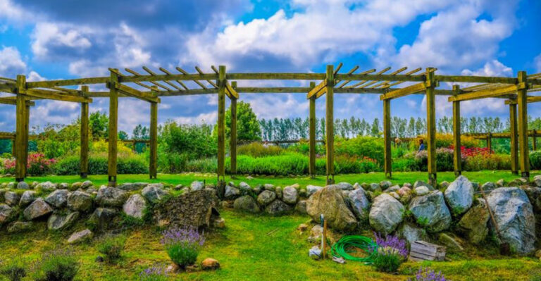 Get Lost in This Peaceful Shelby Flower Puzzle Bursting With Summer Color