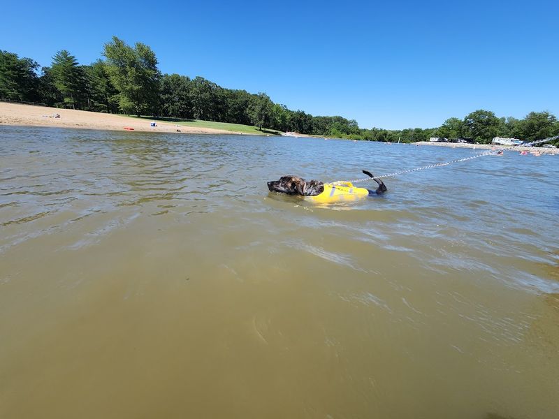 Coles Creek Beach (Carlyle)