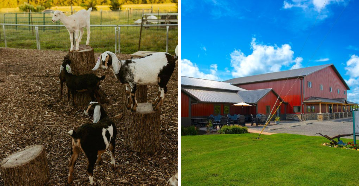 Ice Cream, Fresh Treats, and Scenic Views Make These 10 Illinois Farms Must-Visits