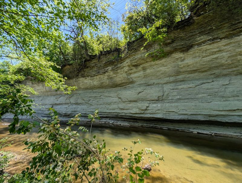 The Sharp Reason Richmond Fossil Park Stands Out The Sharp Reason Richmond Fossil Park Stands Out