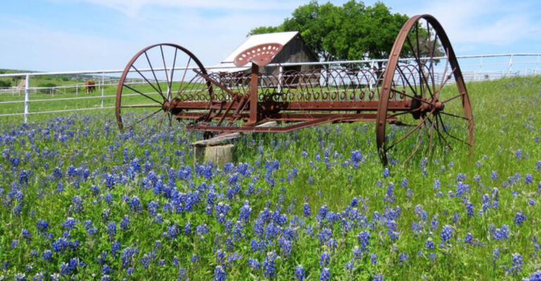 If You Haven’t Done These 11 Things, Are You Even a Real Texan?