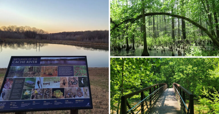 Illinois Is Home to a Riverside Trail That Feels Like a Secret Summer Escape