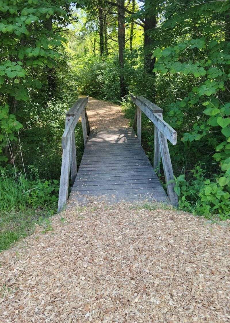 Indiana Trails That Keep Changing the Mood