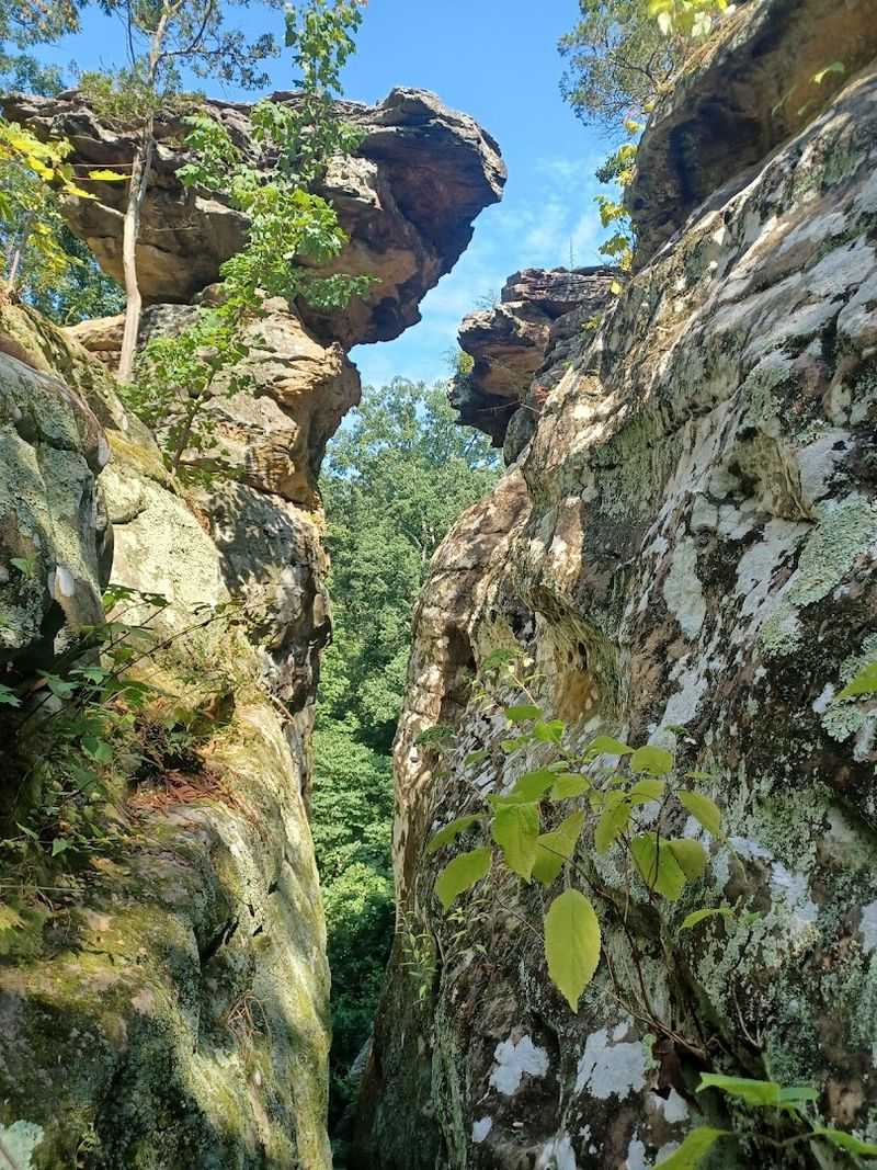 Devil’s Standtable Nature Trail (Giant City State Park)