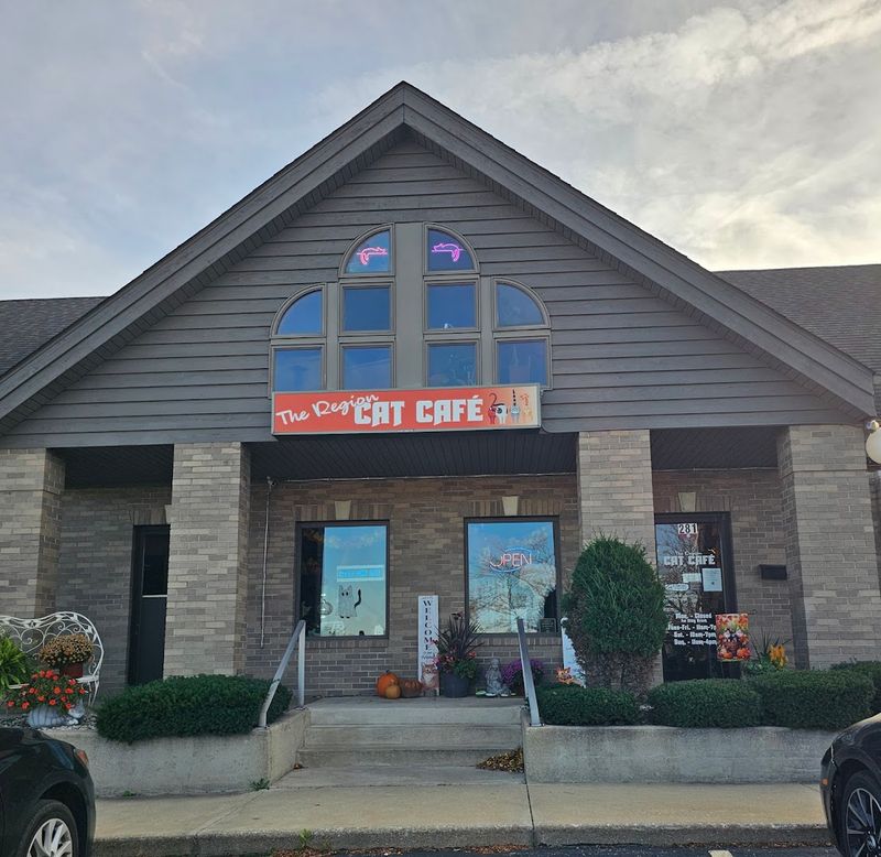 The Region Cat Cafe (Merrillville)