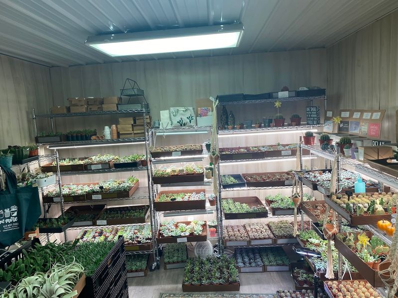 Why it stands out in Murfreesboro