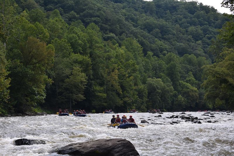 Perfect Location Near the Smokies Perfect Location Near the Smokies