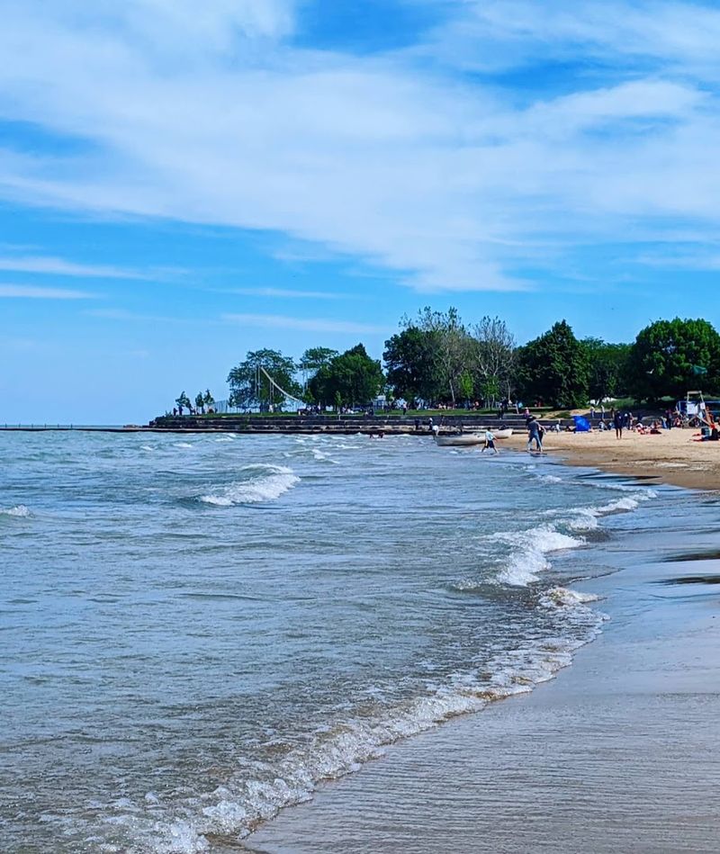 Foster Avenue Dog Beach (Chicago)