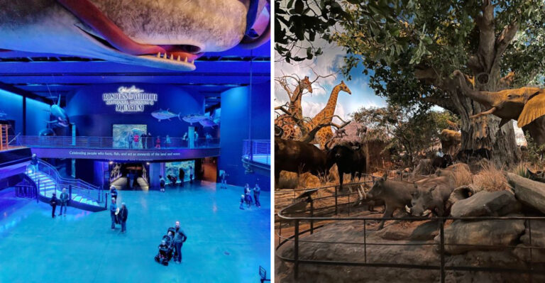 Missouri Is Home to a Museum That Just Might Be America’s Best