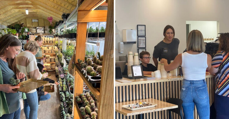 More Than A Plant Shop, This Tennessee Greenhouse Is A Destination All Its Own