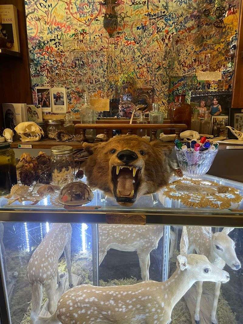 Why This Chicago Museum Punches Above Its Size