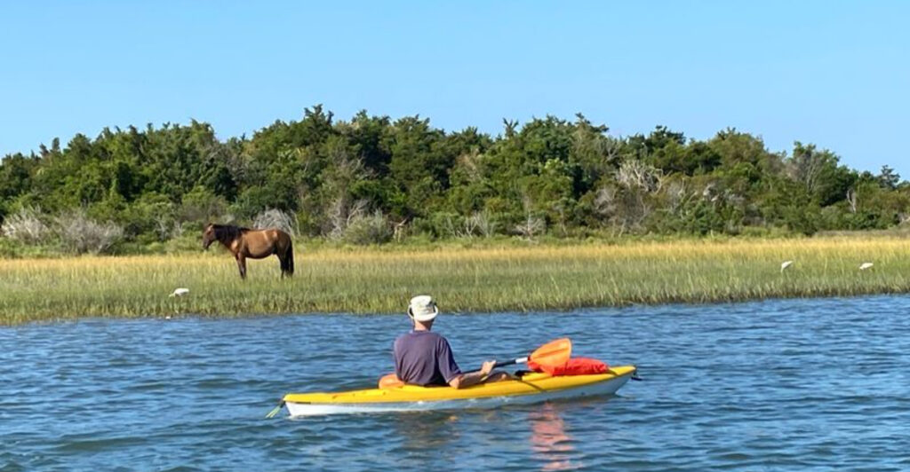 Nature Lovers Can’t Stop Talking About These 9 Incredible North Carolina Destinations