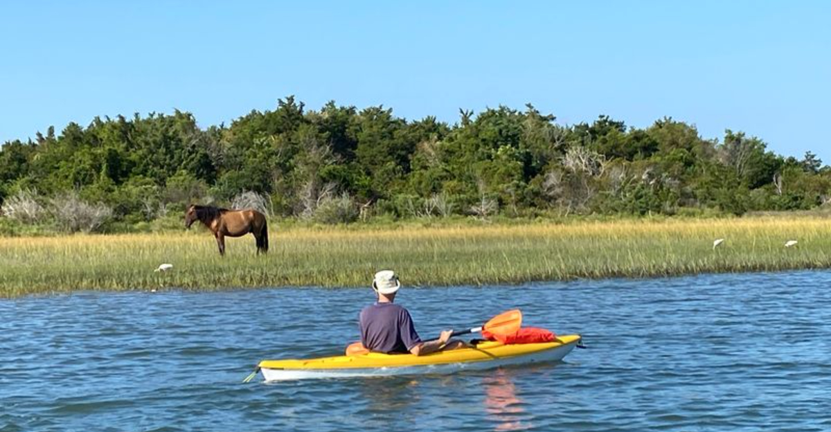 Nature Lovers Can’t Stop Talking About These 9 Incredible North Carolina Destinations