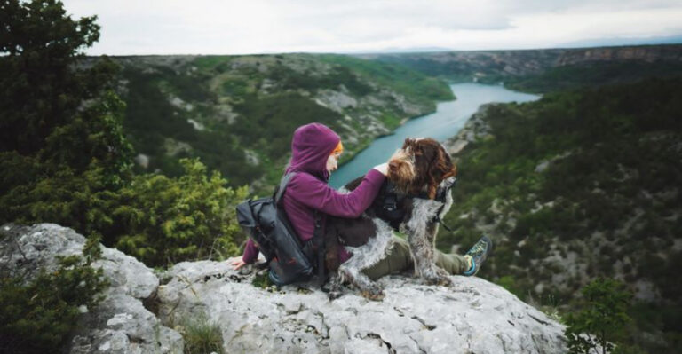 New Jersey’s 12 Best Dog-Friendly Hikes For Four-Legged Adventurers