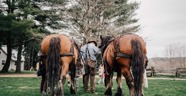 No Ticket Needed: 15 New Jersey Spots Perfect For A Summer Day Outdoors