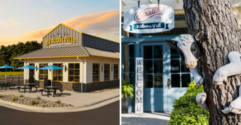 North Carolina Biscuit Spots With Biscuit Game on Point — 11 Worth the Drive