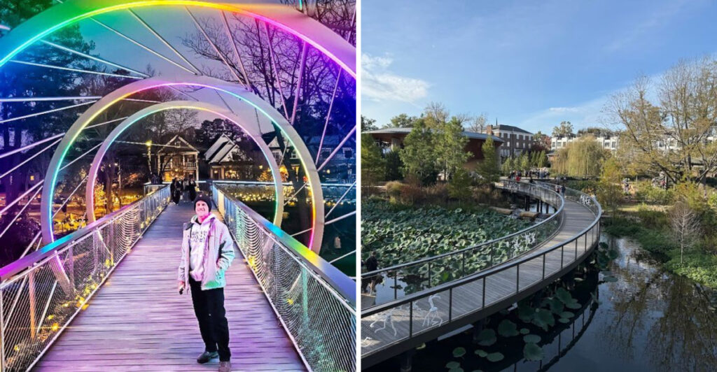 North Carolina’s Skywalk in Cary Lets You Stroll High Above the Forest Floor
