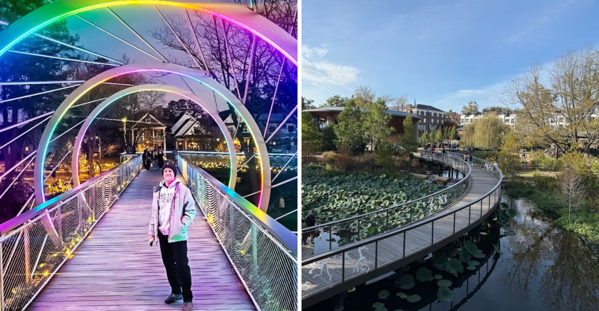 North Carolina’s Skywalk in Cary Lets You Stroll High Above the Forest Floor