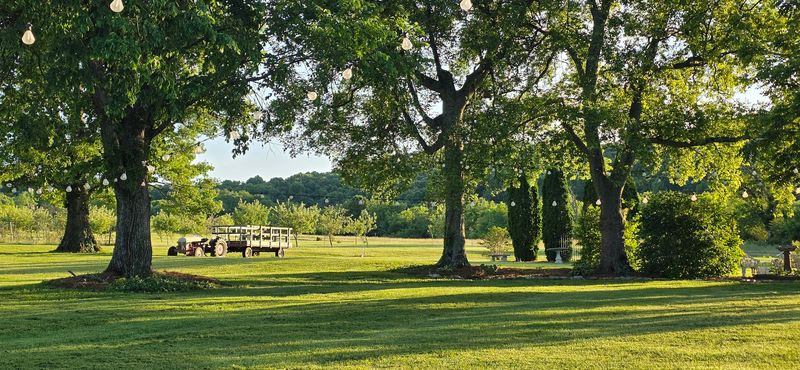 A pick-your-own farm that feels genuinely special