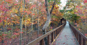 One Peaceful Alabama State Park Is Made for Romantic Getaways