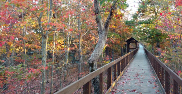 One Peaceful Alabama State Park Is Made for Romantic Getaways