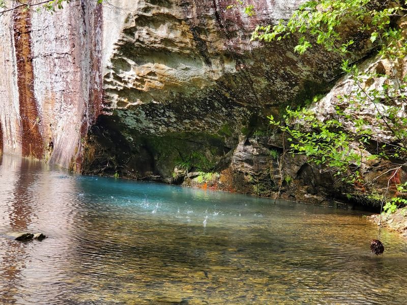 Sentry Bluff & Natural Bridge Area (Bell Smith Springs Recreation Area)