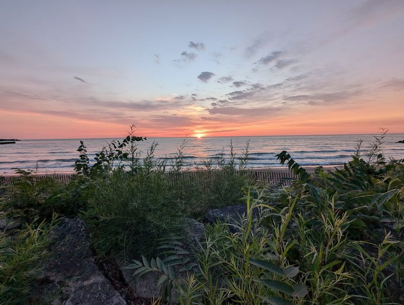 Evanston Dog Beach (Evanston)