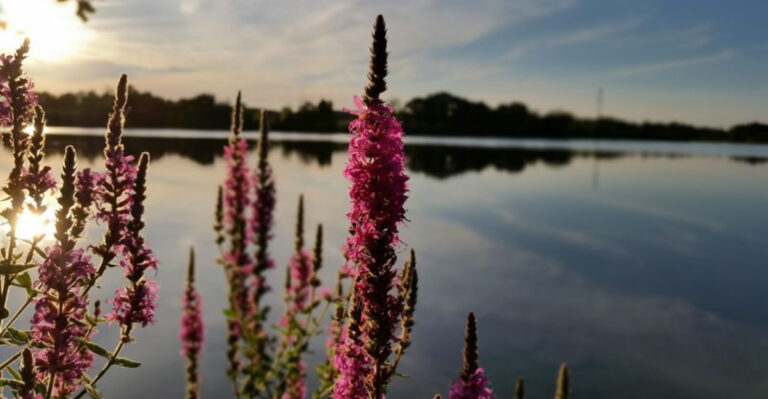 Pedal Through Pure Michigan Beauty On These 13 Bucket-List Rail Trails