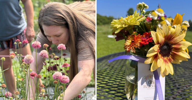 Pick Fresh Flowers Straight From The Field At This Beautiful Tennessee Farm