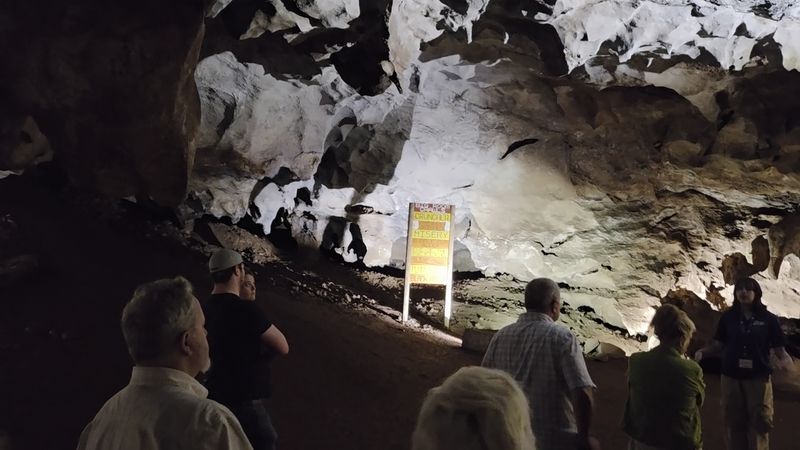 The Cave History Adds More Than Just Background Noise The Cave History Adds More Than Just Background Noise