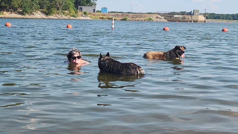 North Marcum Beach (Whittington)